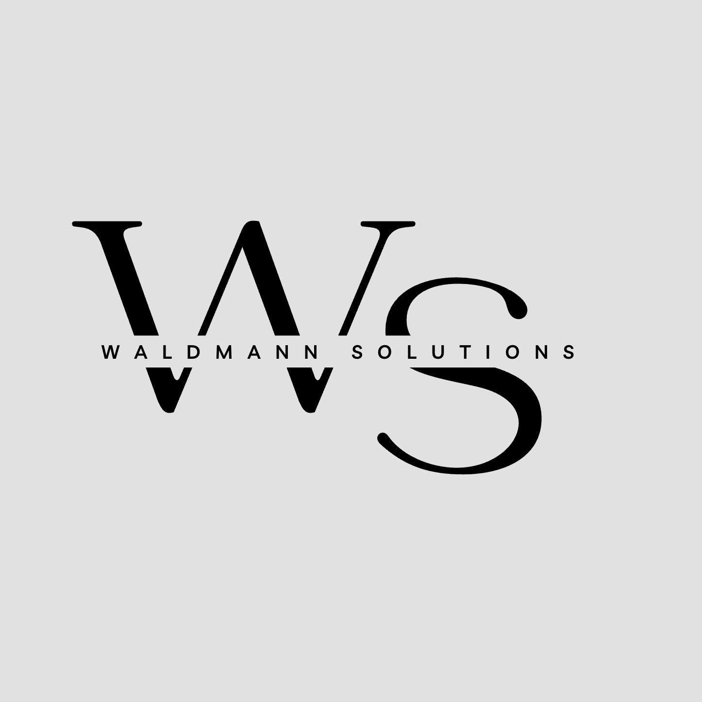 Waldmann Solutions Logo